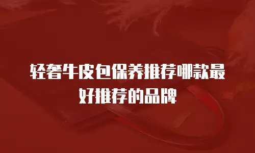 轻奢牛皮包保养推荐哪款最好推荐的品牌