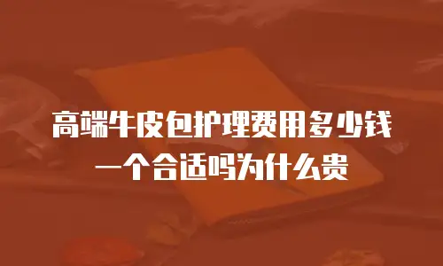 高端牛皮包护理费用多少钱一个合适吗为什么贵