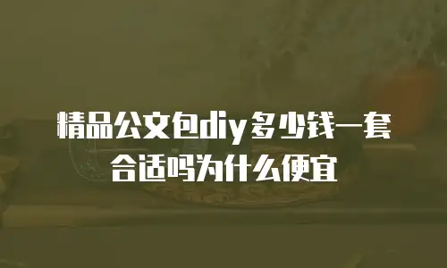 精品公文包diy多少钱一套合适吗为什么便宜