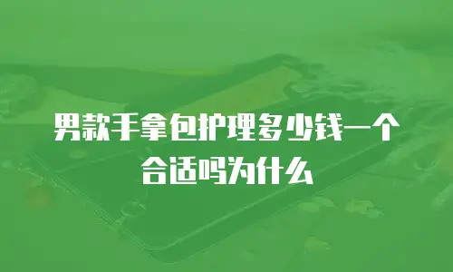 男款手拿包护理多少钱一个合适吗为什么