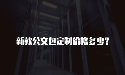 男款手工皮包制作费用大概多少合适