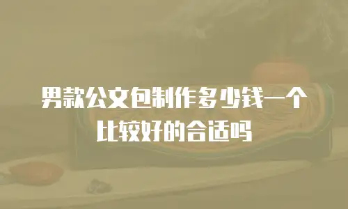 男款公文包制作多少钱一个比较好的合适吗