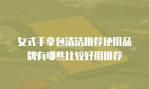女式手拿包清洁推荐使用品牌有哪些比较好用推荐