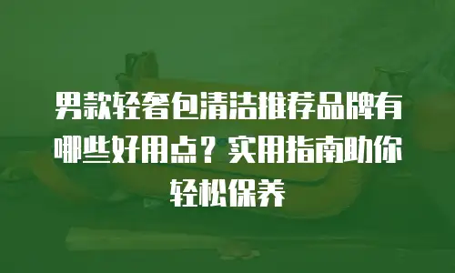 男款轻奢包清洁推荐品牌有哪些好用点？实用指南助你轻松保养