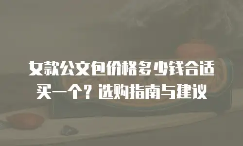 女款公文包价格多少钱合适买一个？选购指南与建议