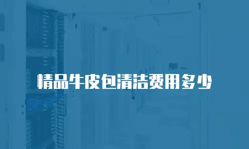 精品牛皮包清洁费用多少