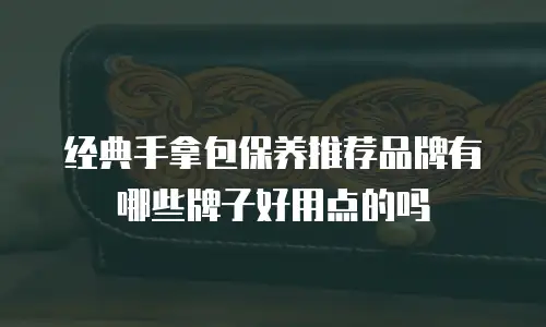 经典手拿包保养推荐品牌有哪些牌子好用点的吗