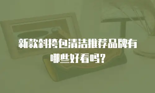新款斜挎包清洁推荐品牌有哪些好看吗？