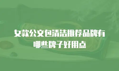 女款公文包清洁推荐品牌有哪些牌子好用点