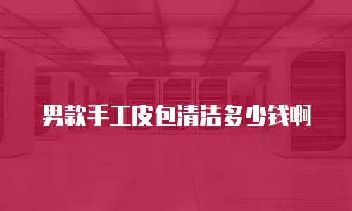 男款手工皮包清洁多少钱啊