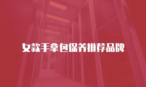 女款手拿包保养推荐品牌