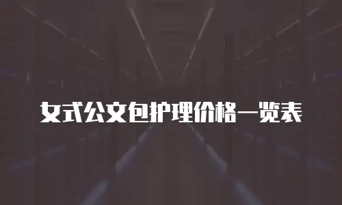 女式公文包护理价格一览表