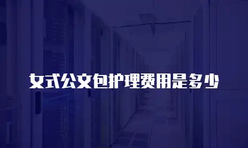 女式公文包护理费用是多少