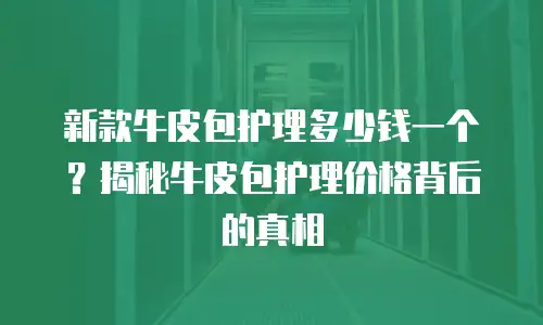 新款牛皮包护理多少钱一个？揭秘牛皮包护理价格背后的真相