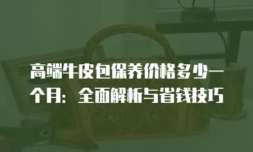 高端牛皮包保养价格多少一个月：全面解析与省钱技巧