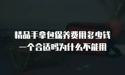 精品手拿包保养费用多少钱一个合适吗为什么不能用