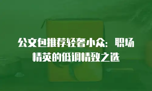 公文包推荐轻奢小众：职场精英的低调精致之选