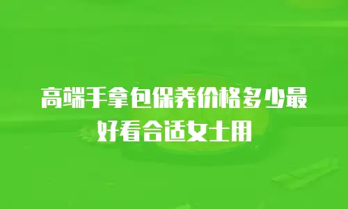 高端手拿包保养价格多少最好看合适女士用