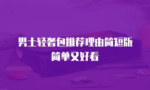 男士轻奢包推荐理由简短版简单又好看