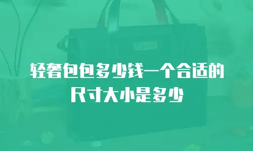 轻奢包包多少钱一个合适的尺寸大小是多少