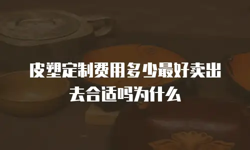 皮塑定制费用多少最好卖出去合适吗为什么
