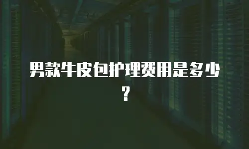 男款牛皮包护理费用是多少？