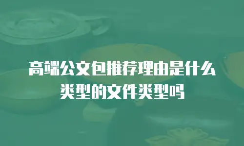 高端公文包推荐理由是什么类型的文件类型吗