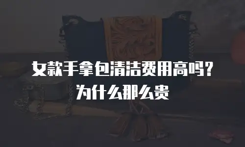 女款手拿包清洁费用高吗？为什么那么贵