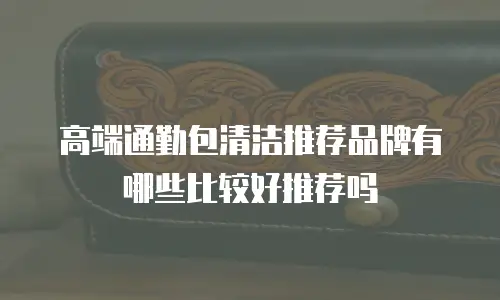 高端通勤包清洁推荐品牌有哪些比较好推荐吗