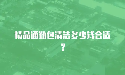 精品通勤包清洁多少钱合适？