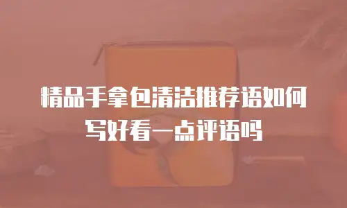 精品手拿包清洁推荐语如何写好看一点评语吗
