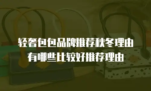 轻奢包包品牌推荐秋冬理由有哪些比较好推荐理由