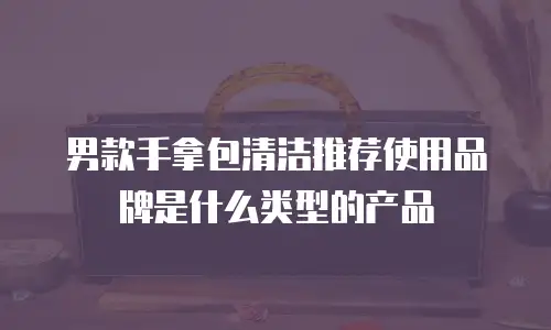 男款手拿包清洁推荐使用品牌是什么类型的产品