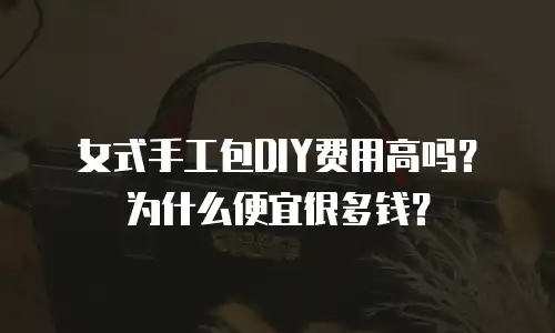 女式手工包DIY费用高吗？为什么便宜很多钱？