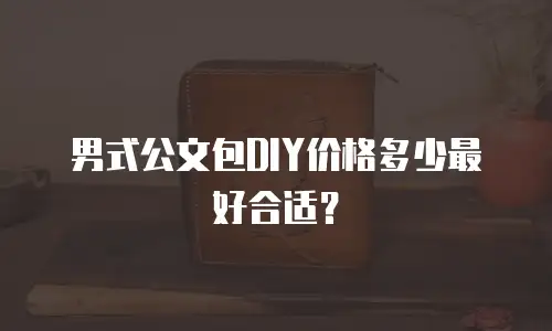 男式公文包DIY价格多少最好合适？