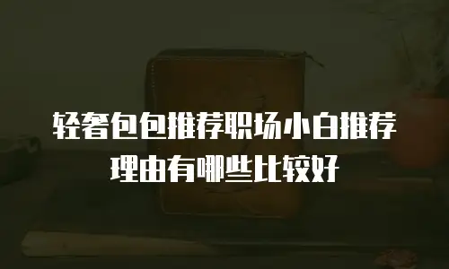 轻奢包包推荐职场小白推荐理由有哪些比较好