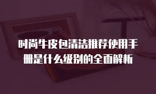 时尚牛皮包清洁推荐使用手册是什么级别的全面解析