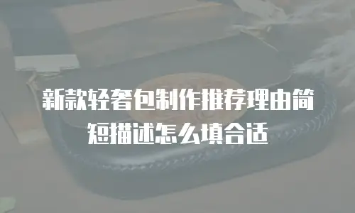 新款轻奢包制作推荐理由简短描述怎么填合适