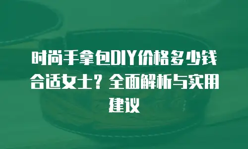 时尚手拿包DIY价格多少钱合适女士？全面解析与实用建议