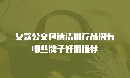 女款公文包清洁推荐品牌有哪些牌子好用推荐