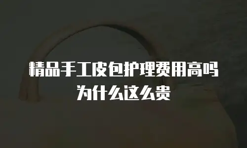 精品手工皮包护理费用高吗为什么这么贵