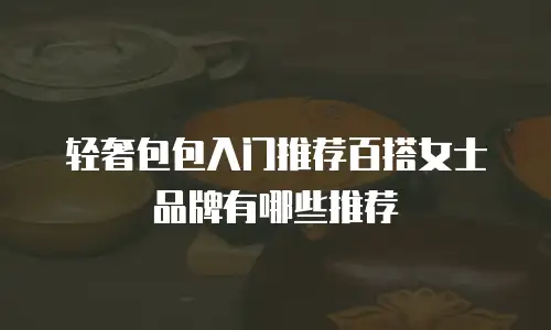 轻奢包包入门推荐百搭女士品牌有哪些推荐