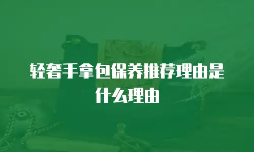 轻奢手拿包保养推荐理由是什么理由