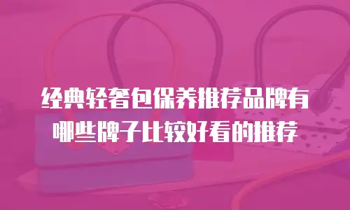 经典轻奢包保养推荐品牌有哪些牌子比较好看的推荐