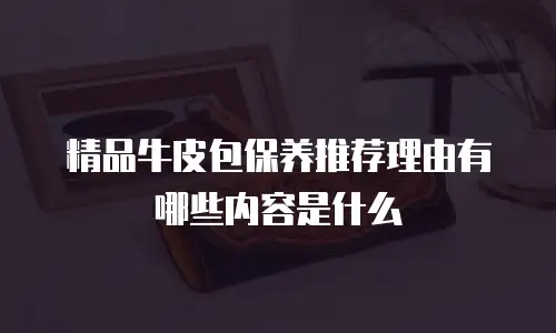 精品牛皮包保养推荐理由有哪些内容是什么