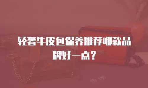 轻奢牛皮包保养推荐哪款品牌好一点？