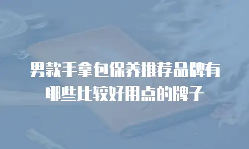 男款手拿包保养推荐品牌有哪些比较好用点的牌子
