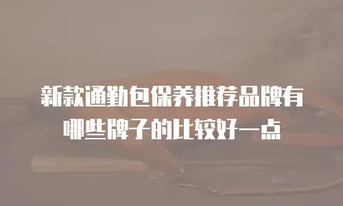 新款通勤包保养推荐品牌有哪些牌子的比较好一点