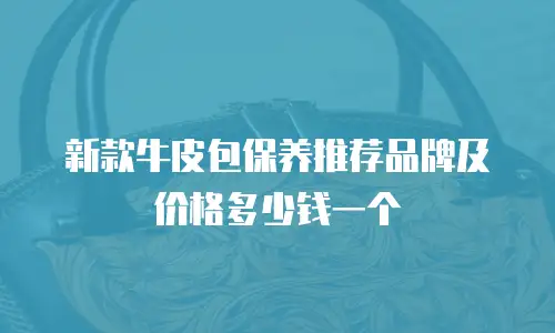 新款牛皮包保养推荐品牌及价格多少钱一个