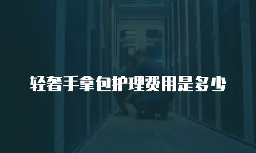 轻奢手拿包护理费用是多少